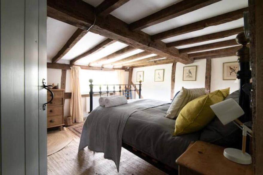 Secluded Thatched Cottage Surrounded By Woodland