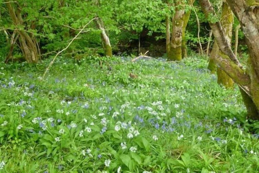 HENDRE ALED COTTAGE 1, pet friendly, with a garden in Llansannan