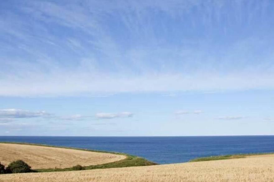 BANK VIEW, pet friendly, country holiday cottage in Chirnside