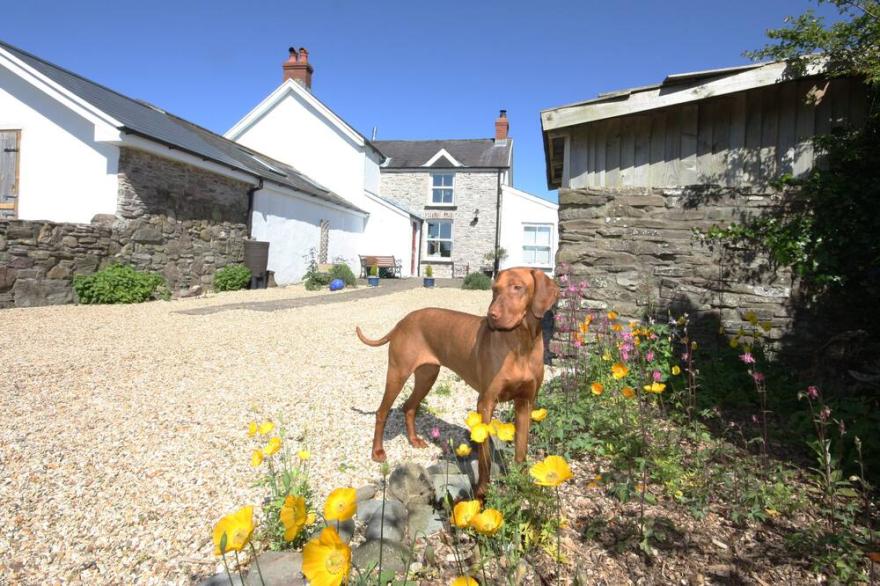 THE DEN, Pet Friendly, Character Holiday Cottage In Llansteffan