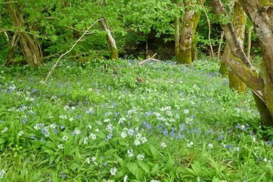 HENDRE ALED COTTAGE 3, pet friendly, with a garden in Llansannan