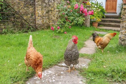 TOM'S HOUSE, character holiday cottage, with a garden in Berrynarbor