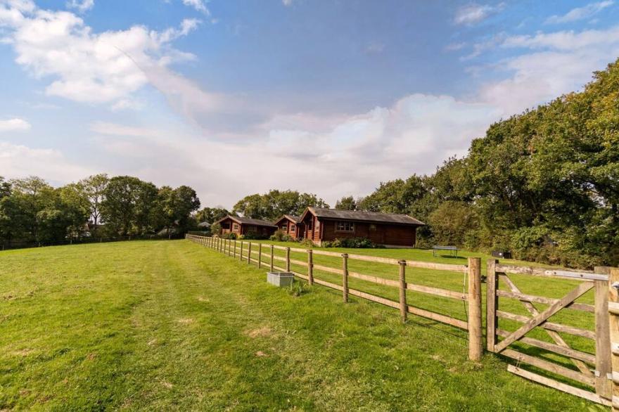 BUTTERCUPS, family friendly, character holiday cottage in Sheepwash