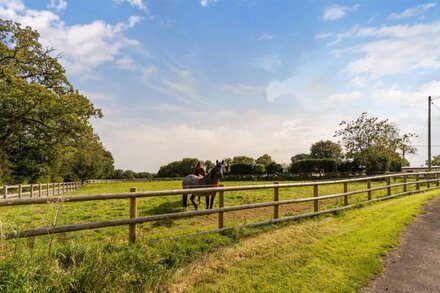 BUTTERCUPS, family friendly, character holiday cottage in Sheepwash