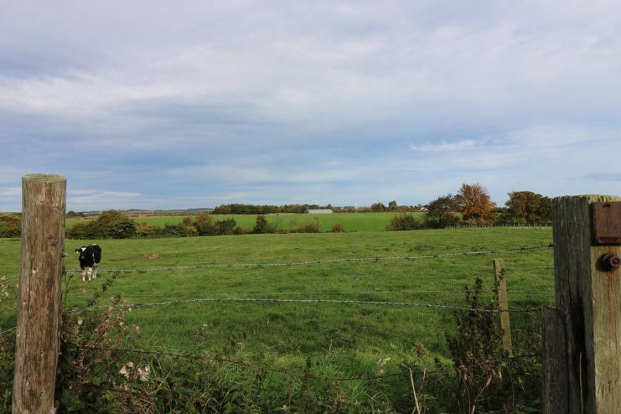 SEA LILY, Pet Friendly, Country Holiday Cottage In Holy Island