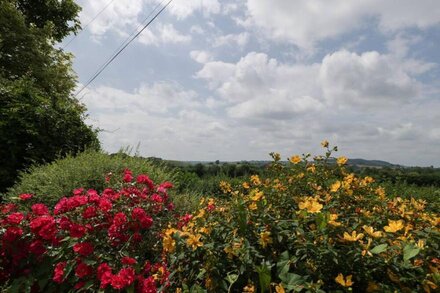 WHEELBARROW COTTAGE, pet friendly, with a garden in Leominster