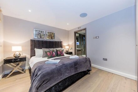 Lux St James Apartment Terrace  Central London FREE WIFI  - by City Stay London