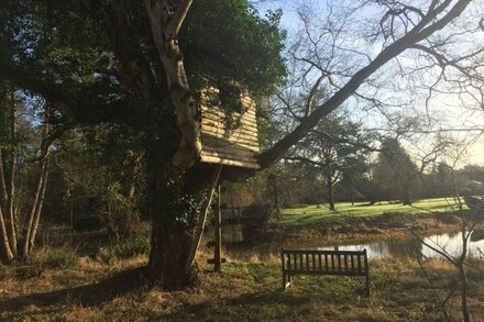 Escape to the country.  A Secluded Village Cottage, Pretty Garden Position