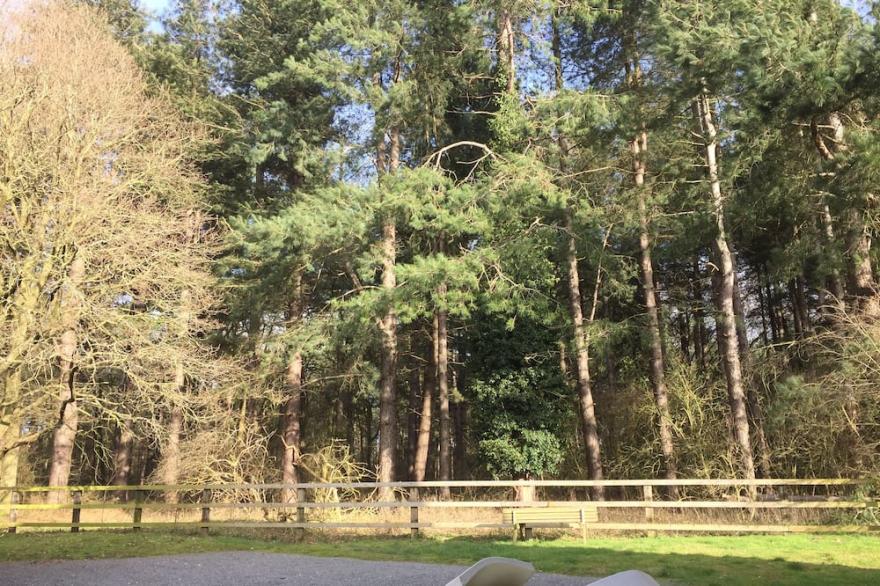 Relax and Unwind in Forest View
