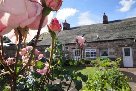 Pet friendly, free wifi.  Log fire. On national cycle route. Good local pub.