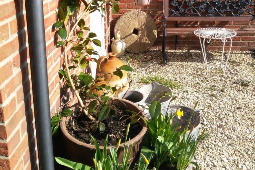 Contemporary Garden Cottage
