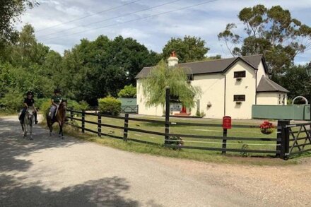 The Willows -  a house that sleeps 6 guests  in 3 bedrooms