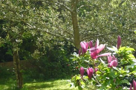 Charming Cottage With Easy Access To The Eden Project, Lost Gardens Of Heligan