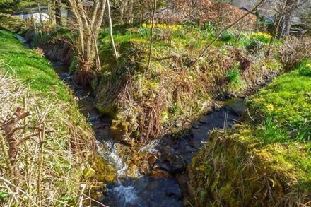 GERYLLAN, pet friendly, country holiday cottage in Rhandirmwyn