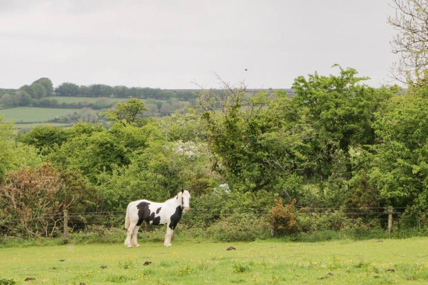 NESTLING BARN, pet friendly, luxury holiday cottage in Tavistock