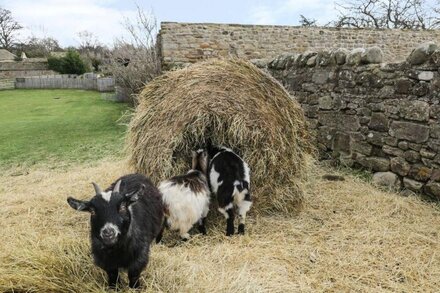 BARFORTH HALL DAIRY, pet friendly, with hot tub in Gainford