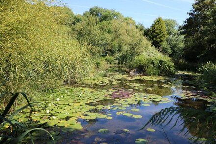 POND COTTAGE, with a garden in Truro