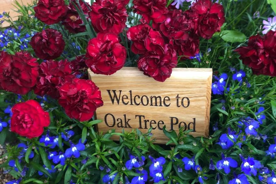 Oak Tree Retreat - Sleeps 2 Guests  In 1 Bedroom