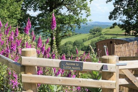 Little Acorn - 5* Cyfie Farm, Luxury Shepherds Hut / Lodge with private hot tub.