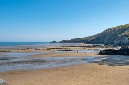 Coppice in Saundersfoot