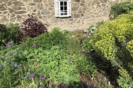 Beautiful Barn & Garden