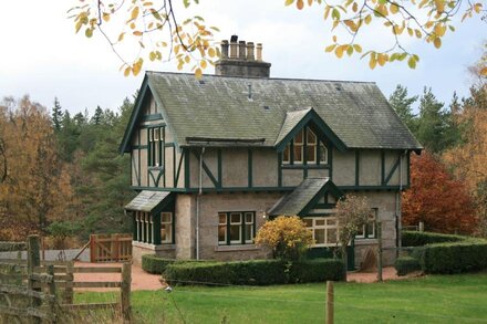 Magical Woodland Cottage