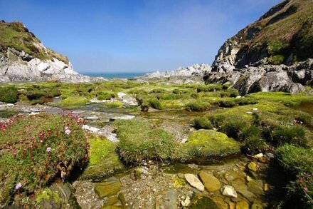 ROCKHAM BAY VIEW, pet friendly, character holiday cottage in Mortehoe