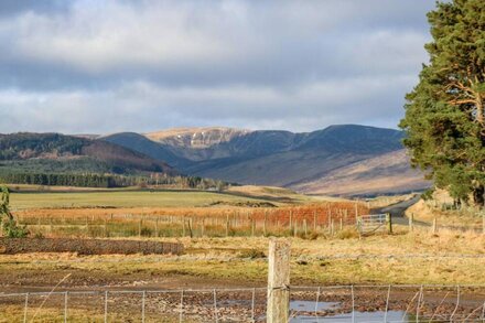 WHITE HILLOCKS COTTAGE, pet friendly, with open fire in Kirriemuir