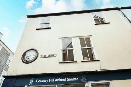 THE LITTLE CLOCK HOUSE, pet friendly in Dartmouth