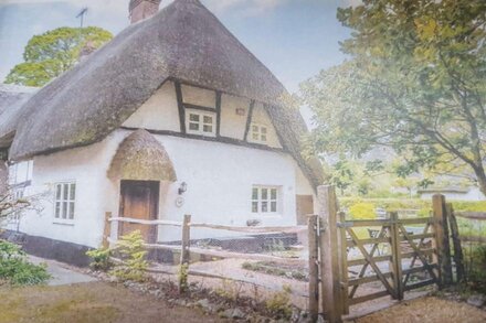 Charming  3 bed Thatched cottage in rural village near Stockbridge Winchester.