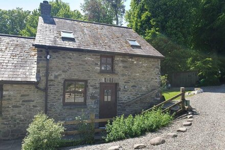 TY TWT, pet friendly, character holiday cottage in Llanddewi-Brefi