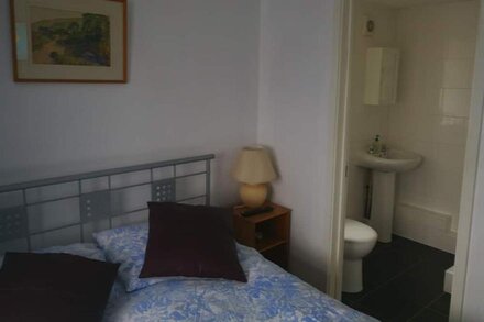 En-suite double room with shared kitchen 15 minute-walk away from King's College