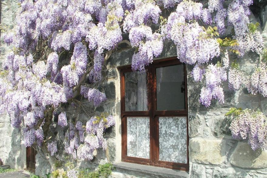 A Beautiful Cosy Cottage On The Edge Of Snowdonia National Park