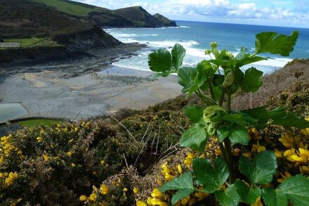 Rusey Cottage, Crackington Haven, Bude, amazing location, stunning views.