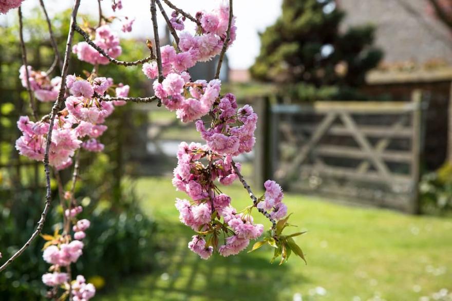 The Old Stables is a self contained detached 2 bedroom cottage.
