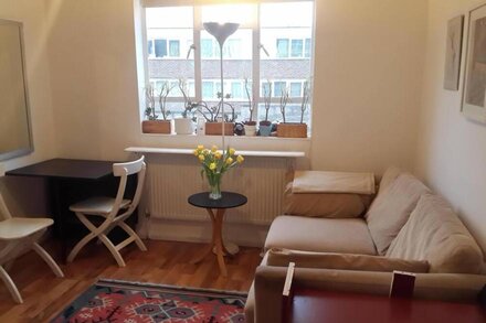 Bright London Flat Close to Centre