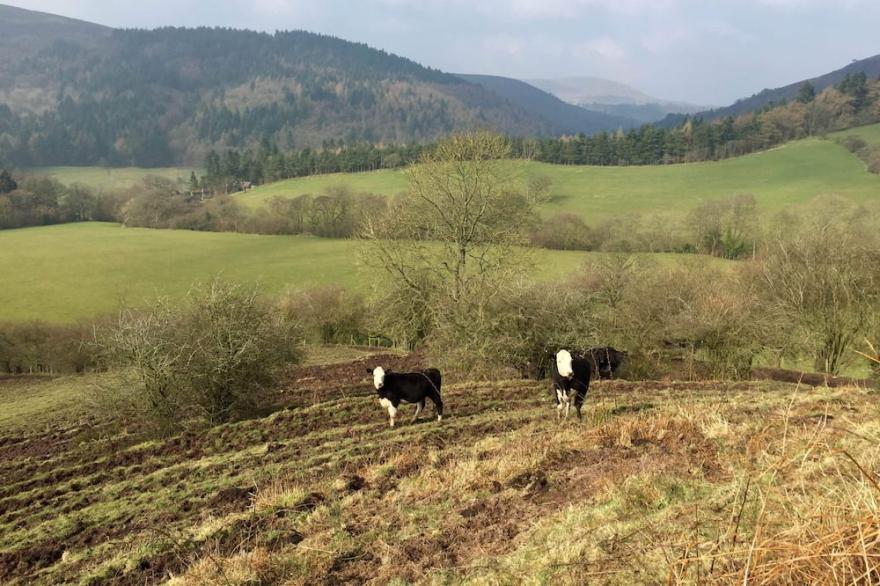 Open-plan, stunning views, masses of wildlife.