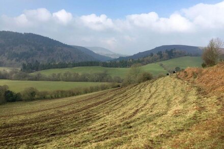 Open-plan, stunning views, masses of wildlife.