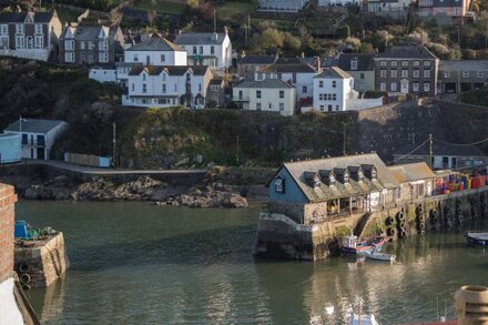 Thimble cottage , sea, harbour and village views ,courtyard ,Wi-fi, logburner