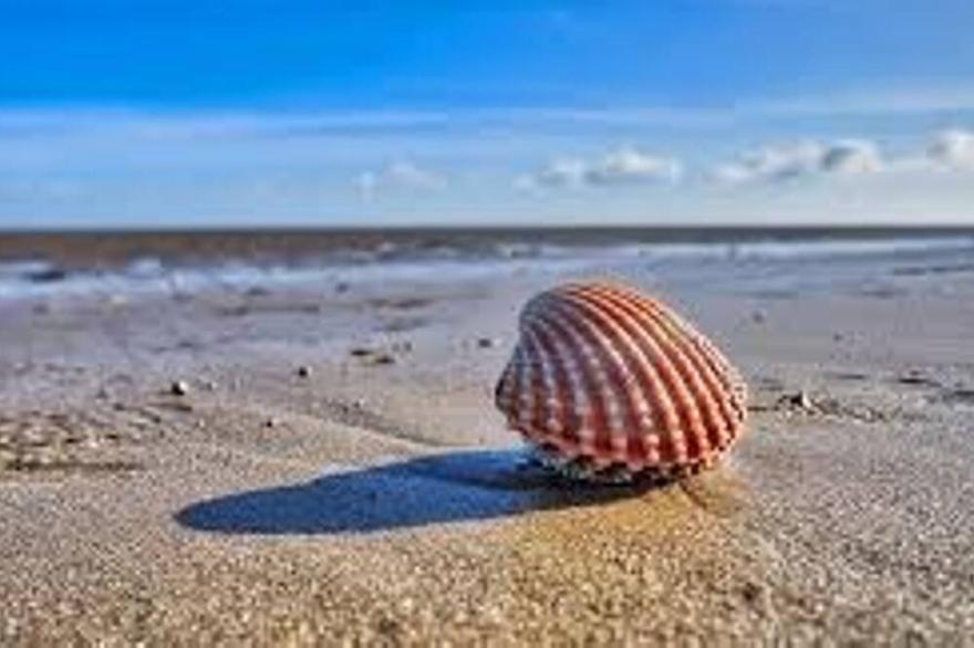 Pass the Keys | Beach House  Camber Rye East Sussex