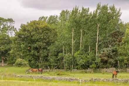 THIRLEY BECK LODGE, pet friendly, with a garden in Harwood Dale