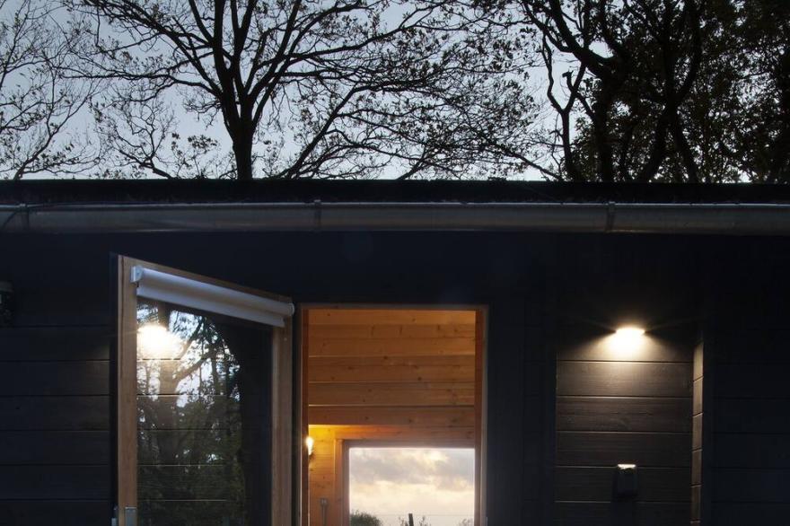 The New Forest Cabin in 12 acres of private woodland