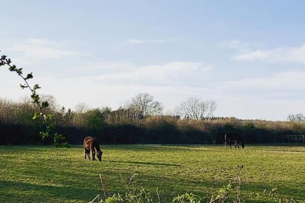 Bumblebee Cottage - a 19th Century Cottage in Area of Outstanding Natural Beauty