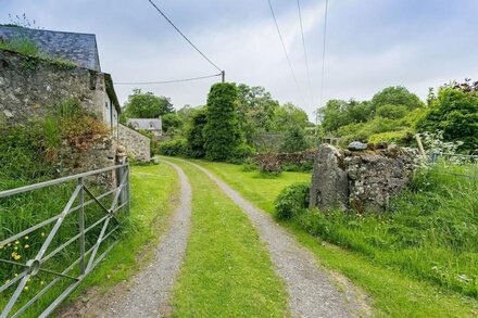 Ty Fry Cottage -  a cosy fire that sleeps 4 guests  in 2 bedrooms