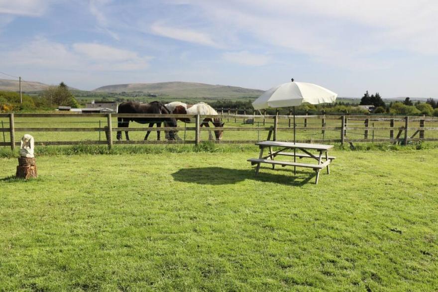 VIEW THE GALLERY, pet friendly, with open fire in Okehampton