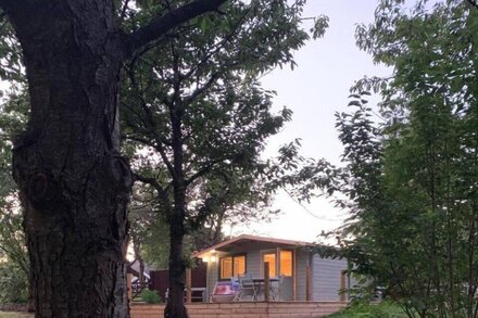 Beautiful secluded log cabin - in Kent orchard.