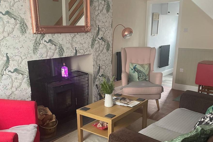 1 bedroom accommodation in Henllan