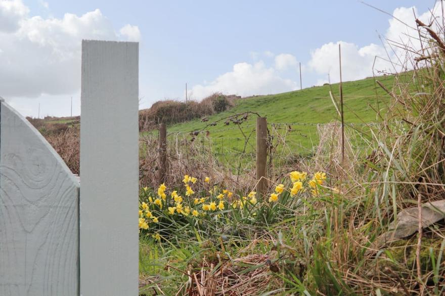 ROSE COTTAGE, pet friendly, character holiday cottage in St Just