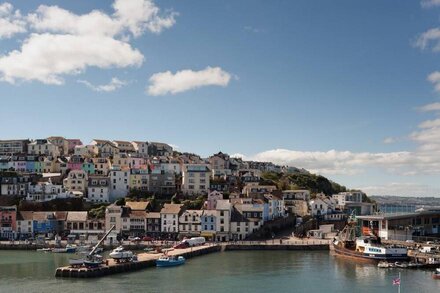 1 bedroom accommodation in Brixham