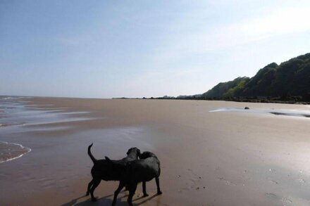 Skylark Lodge - A Fabulous and very comfortable seaside log chalet, a minutes walk from the beach an